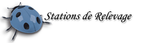 Stations de Relevage Flygt et Lowara haute capacité et Pompes de Relevage pour eaux chargées aux Prix Intéressants